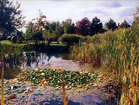 Allgaeuer Hof 3* Wolfegg