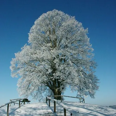 Hotel Allgaeuer Hof Wolfegg